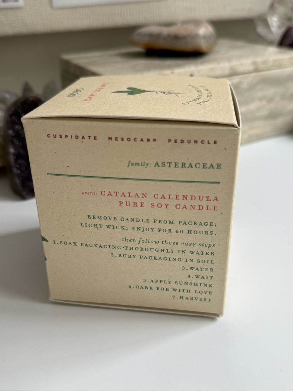 KOBO NIB Catalan Calendula candle - Picture 4 of 7